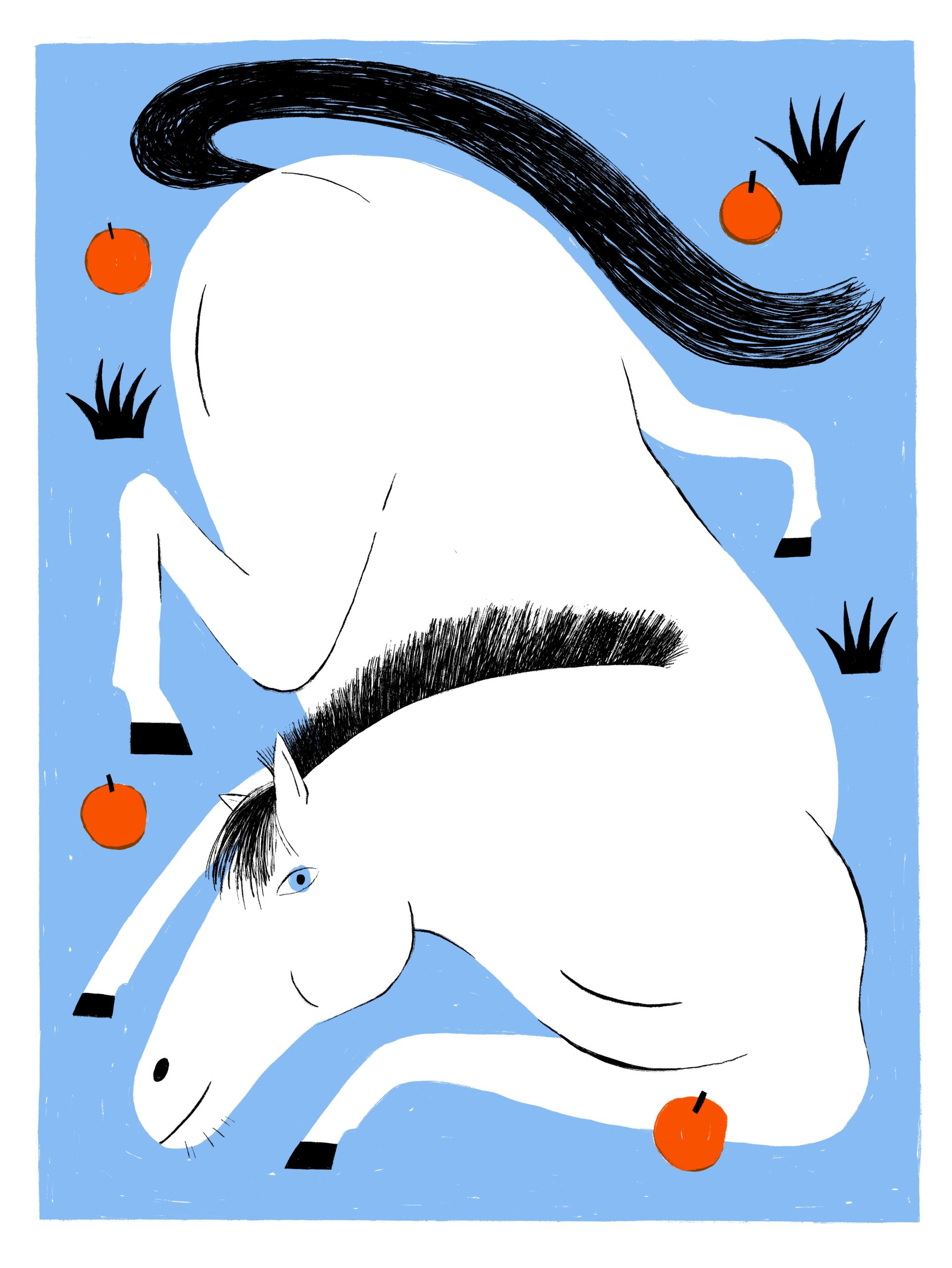 Pferd und Äpfel